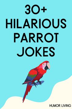 a red parrot sitting on top of a tree next to the words 30 + hilarious parrot jokes