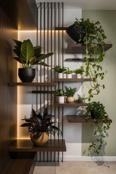 some plants are sitting on shelves in a room