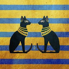 two black cats sitting next to each other on top of a blue and yellow striped wall