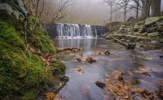 a small waterfall in the middle of a forest with moss growing on it's rocks