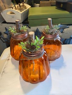 three jars with plants in them sitting on a table