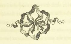 an old drawing of a flower with wavy lines