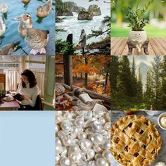 a collage of pictures with birds, trees, and people in the background including a woman sitting at a table