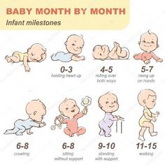 the baby month by month chart shows how many infants are born to their parents