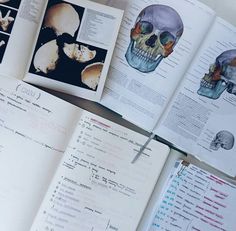 an open book with pictures of skulls and bones on the pages next to each other