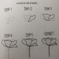 step by step instructions on how to draw flowers for beginner's drawing class