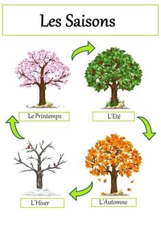 four different types of trees with the words les saisonss in french and english