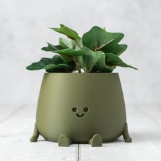 a potted plant with a face drawn on it