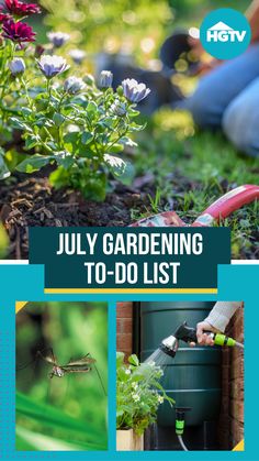 the july gardening to - do list is here