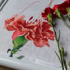 some red flowers are sitting on a white table cloth with green stems in front of it