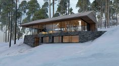 a house in the snow surrounded by trees