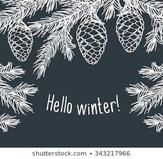 a pine tree branch with cones and the words hello winter written on it in white ink