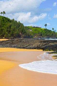 a sandy beach with waves coming in to shore and palm trees on the hill behind it