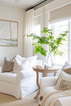 a living room filled with furniture and a potted plant