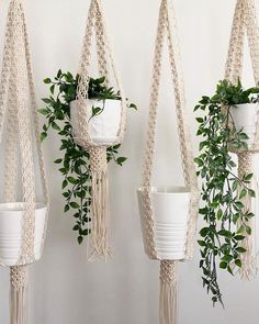 three macrame plant hangers with plants in them and one hanging on the wall