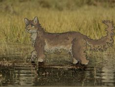 a drawing of a dog standing in water with grass behind it and the background is blurry