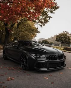 a black bmw is parked on the street in front of some trees with red leaves