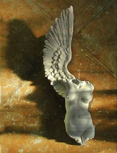 an angel statue is casting a shadow on the floor with its wings spread wide open