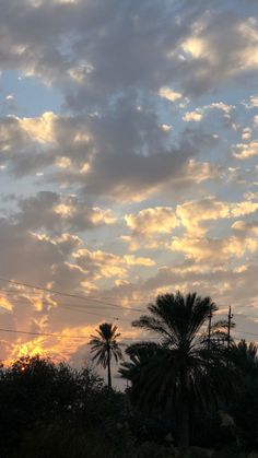 the sun is setting behind palm trees and telephone lines in the distance, with some clouds above them