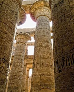 the columns are decorated with ancient egyptian writing and calligs in an old building