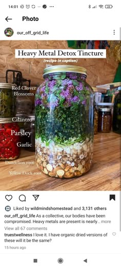 Medicinal Herbs Remedies, Herb Medicine, Tinctures Recipes, Medicine Garden, Homemade Medicine, Herbal Education, Herbs Remedies, Herbal Medicine Recipes, Home Apothecary