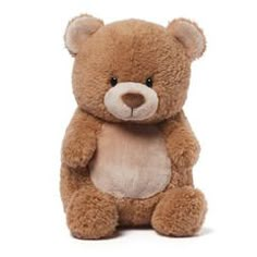 a brown teddy bear sitting up against a white background