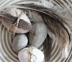 some rocks and feathers are in a bowl