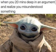 a baby yoda with the caption when you 20 mins deep in an argument and realizing that it is not something