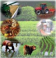 a collage of farm related images with animals and tractors