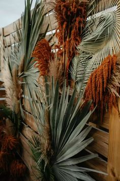 some very pretty looking plants in front of a wooden fence with lots of leaves on it