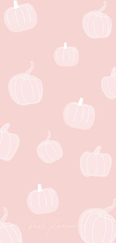 a pink background with white pumpkins on it