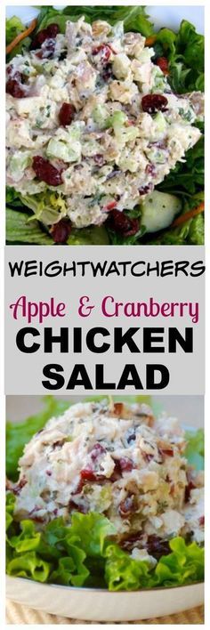 an image of apple and cranberry chicken salad