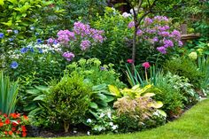 a garden filled with lots of different types of flowers