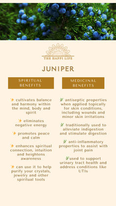 the benefits of juniper berries for skin and hair info sheet with information about its health benefits