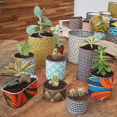 there are many pots with plants in them on the wooden table and one has a green plant