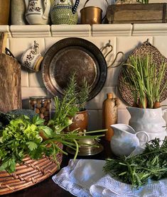 various pots and pans are sitting on a shelf in the kitchen, with herbs growing out of them