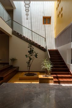 an indoor area with stairs, potted plant and staircase