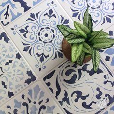 a potted plant sitting on top of a blue and white tile floor