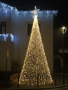 a lighted christmas tree in front of a white building