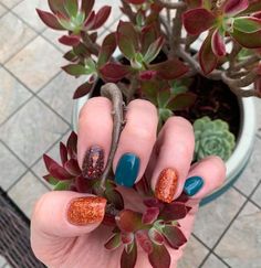 Fall Nails Turquoise, Teal And Orange Fall Nails, Teal And Copper Nails, Orange And Teal Nails, Teal And Orange Nails, Teal Fall Nails, November Magic, Fall Pedicures, Autumnal Nails