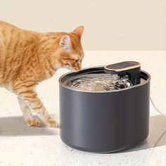 an orange tabby cat playing with a water fountain