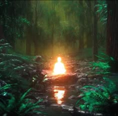 a fire in the middle of a forest filled with lots of trees and bushes, surrounded by water