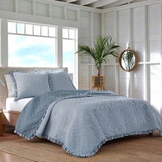 a bed with blue and white comforter next to a potted plant in a room