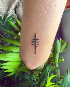 a small pine tree tattoo on the left side of the foot, with green leaves around it