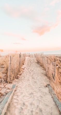 a sandy path leading to the beach with grass growing on both sides and sand covering the ground