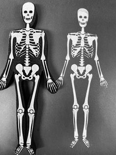 two paper cutouts of human skeleton standing next to each other on a table in front of a black and white background