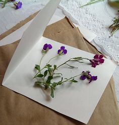 some purple flowers are laying on top of a piece of white paper next to an envelope