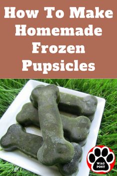 how to make homemade frozen puppies from scratchsticks on the grass with text overlay