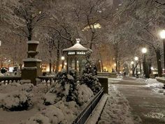 a snowy night in the city with snow covered trees, benches and a lamp post