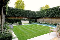 an image of a backyard with grass and trees in the back ground, surrounded by bushes